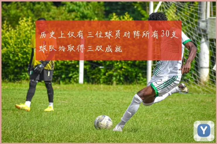 历史上仅有三位球员对阵所有30支球队均取得三双成就