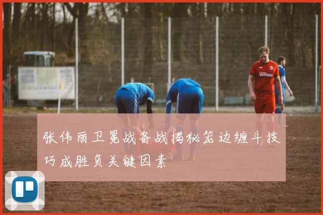 张伟丽卫冕战备战揭秘笼边缠斗技巧成胜负关键因素
