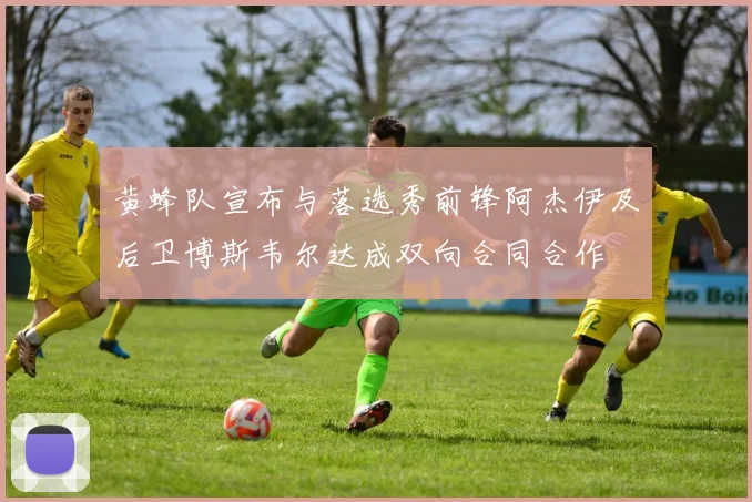 黄蜂队宣布与落选秀前锋阿杰伊及后卫博斯韦尔达成双向合同合作